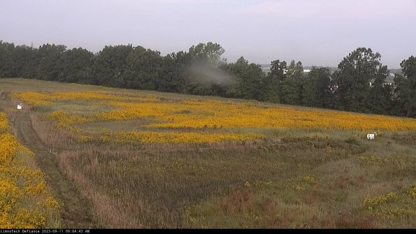 Cell 2_23-09-11_09-04-43-85