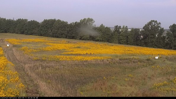 Cell 2_23-09-11_09-26-58-82