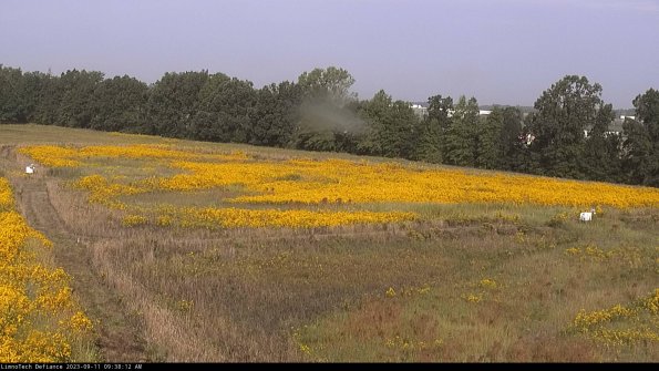 Cell 2_23-09-11_09-38-12-90