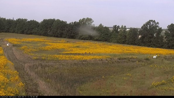 Cell 2_23-09-11_11-18-40-86