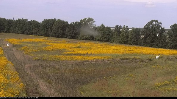 Cell 2_23-09-11_12-25-38-84