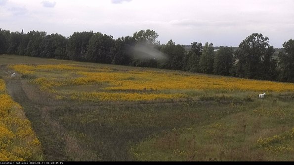 Cell 2_23-09-11_16-20-05-81