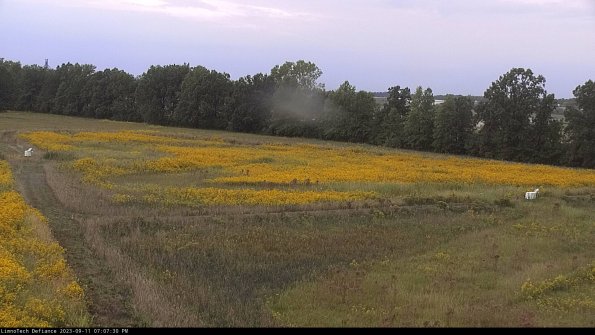 Cell 2_23-09-11_19-07-30-81