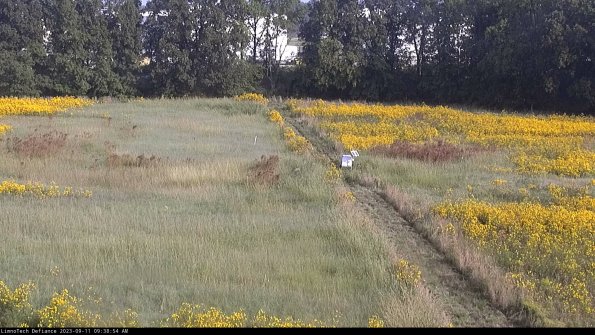 Cell 3 to 4_23-09-11_09-38-54-81