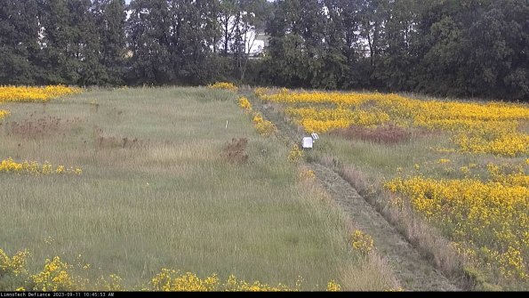 Cell 3 to 4_23-09-11_10-45-53-79