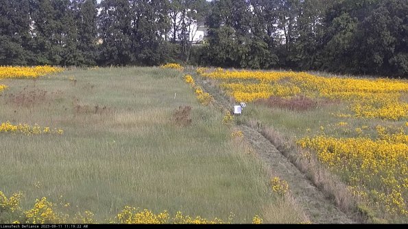 Cell 3 to 4_23-09-11_11-19-22-77