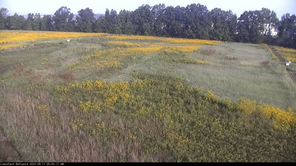 Cell 3_23-09-11_09-05-11-78