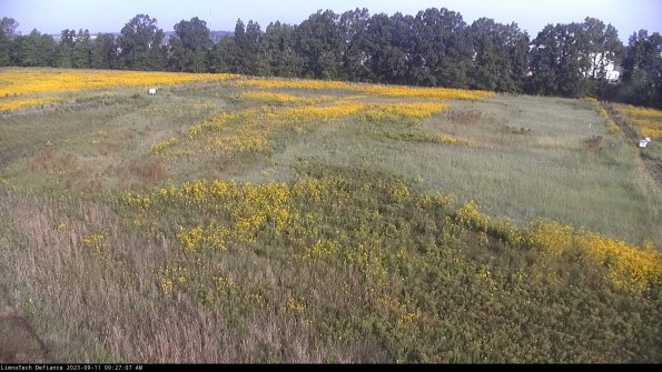 Cell 3_23-09-11_09-27-07-83