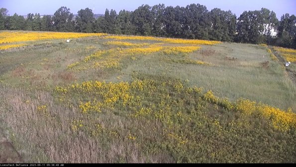 Cell 3_23-09-11_09-38-40-80