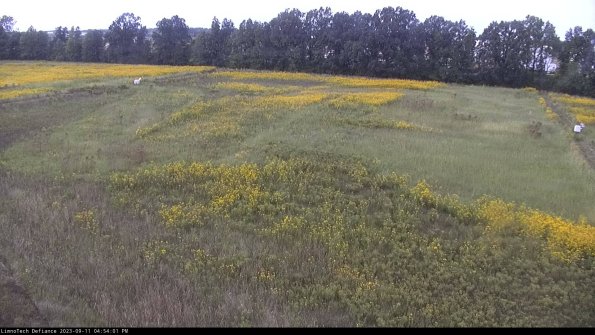 Cell 3_23-09-11_16-54-01-79