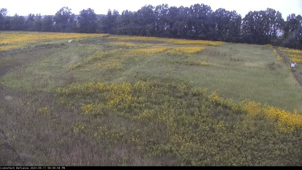 Cell 3_23-09-11_18-00-59-06