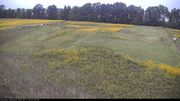 Cell 3_23-09-11_19-07-58-81