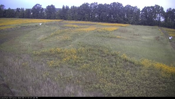 Cell 3_23-09-11_19-41-28-79