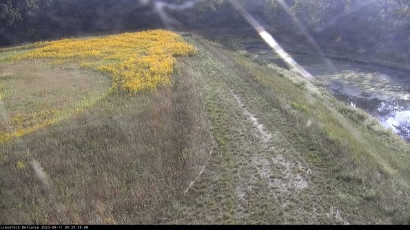 Cell 4 to Basin_23-09-11_09-39-38-79