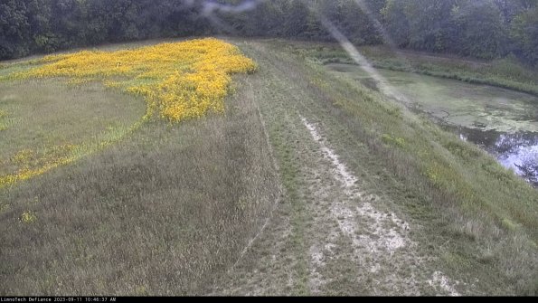 Cell 4 to Basin_23-09-11_10-46-37-80