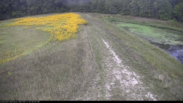 Cell 4 to Basin_23-09-11_19-08-56-83