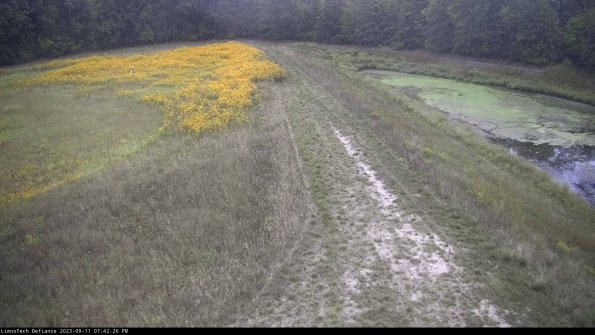 Cell 4 to Basin_23-09-11_19-42-26-82