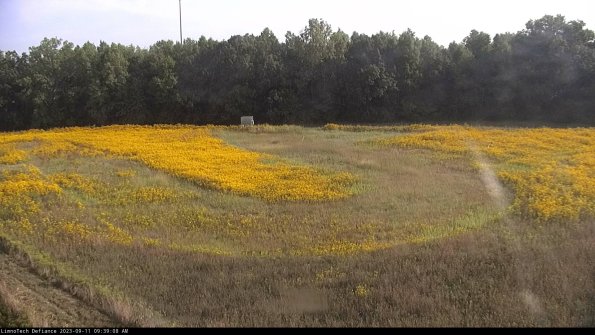 Cell 4_23-09-11_09-39-08-79