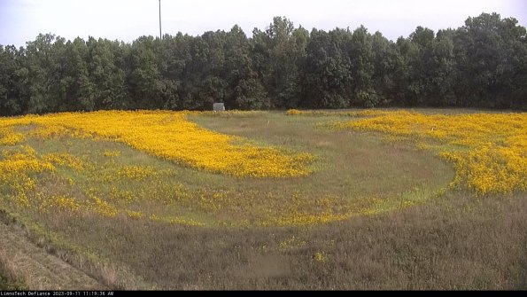 Cell 4_23-09-11_11-19-36-79