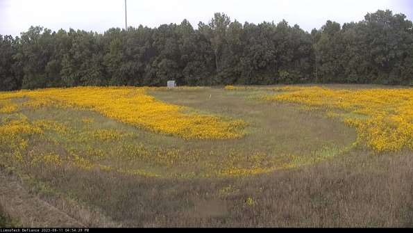 Cell 4_23-09-11_16-54-29-82