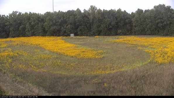 Cell 4_23-09-11_18-01-26-79