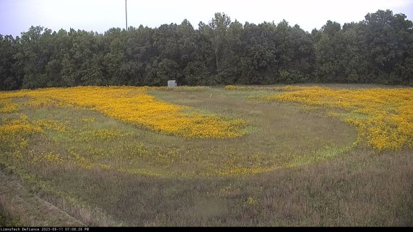 Cell 4_23-09-11_19-08-26-80