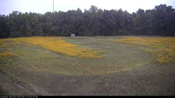 Cell 4_23-09-11_19-41-56-79