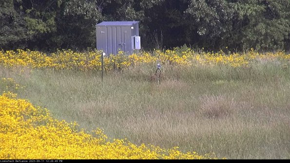 Outlet_23-09-11_12-26-49-81