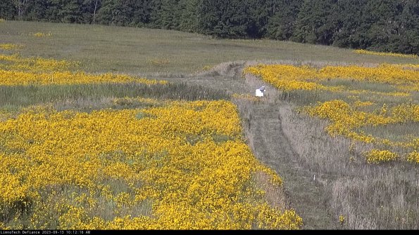 Cell 1 to 2_23-09-13_10-12-16-79