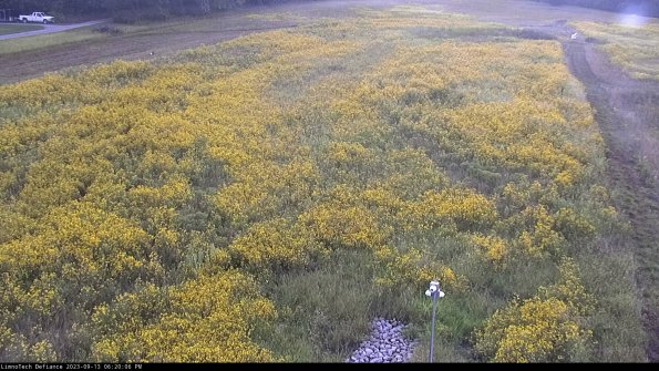 Cell 1_23-09-13_18-20-06-71