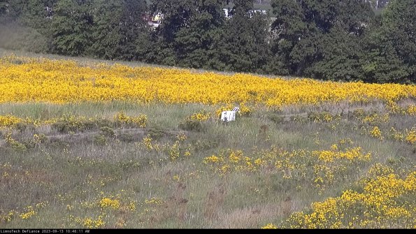 Cell 2 to 3_23-09-13_10-46-11-90