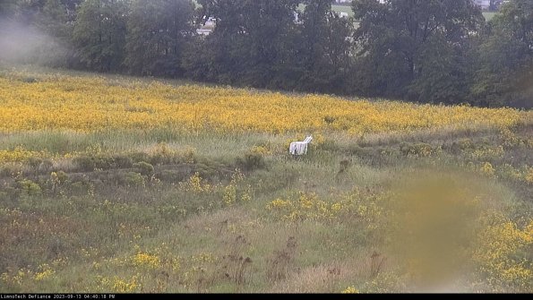 Cell 2 to 3_23-09-13_16-40-18-89