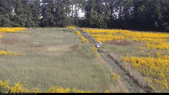 Cell 3 to 4_23-09-13_10-13-11-81