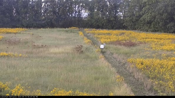 Cell 3 to 4_23-09-13_17-47-46-73