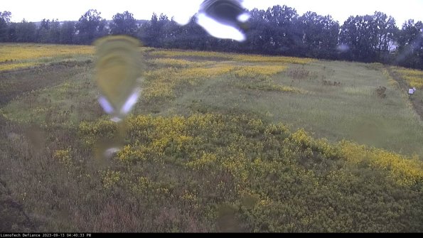 Cell 3_23-09-13_16-40-33-71