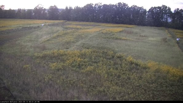 Cell 3_23-09-13_20-01-29-96