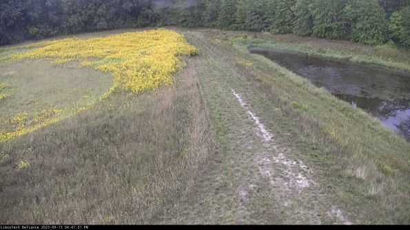 Cell 4 to Basin_23-09-13_16-41-31-70