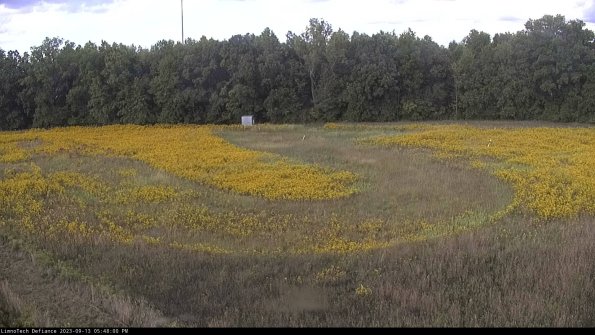 Cell 4_23-09-13_17-48-00-71