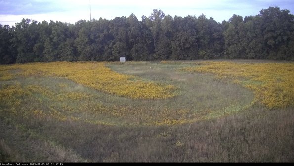 Cell 4_23-09-13_20-01-57-72