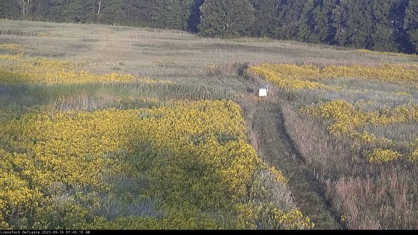 Cell 1 to 2_23-09-16_07-45-10-72