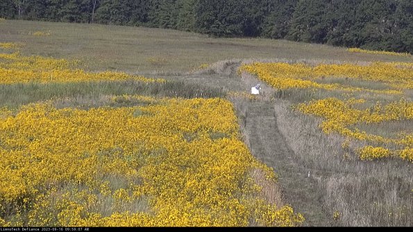 Cell 1 to 2_23-09-16_09-59-07-73