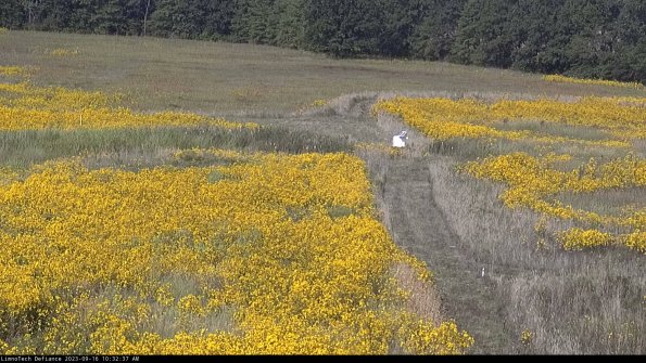 Cell 1 to 2_23-09-16_10-32-37-71