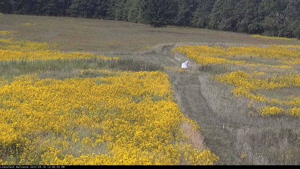 Cell 1 to 2_23-09-16_12-46-35-72