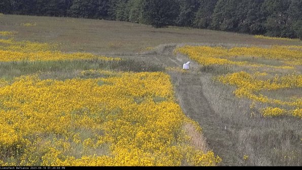 Cell 1 to 2_23-09-16_13-20-03-71