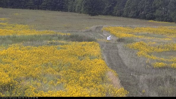 Cell 1 to 2_23-09-16_14-27-03-72