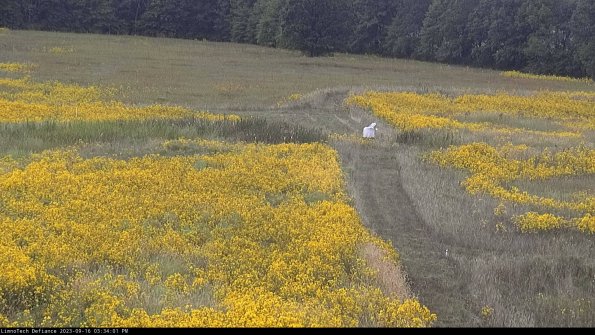 Cell 1 to 2_23-09-16_15-34-01-72