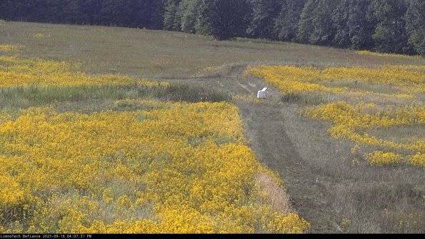 Cell 1 to 2_23-09-16_16-07-31-71