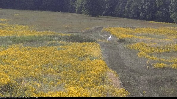 Cell 1 to 2_23-09-16_17-14-31-72