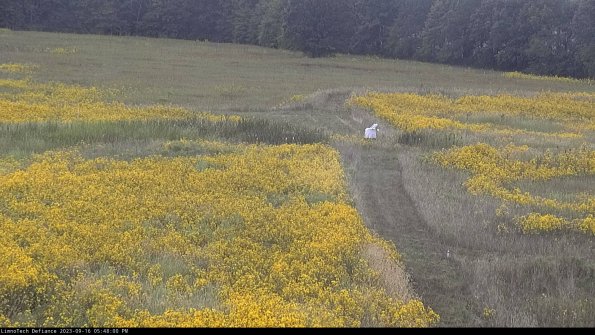 Cell 1 to 2_23-09-16_17-48-00-74