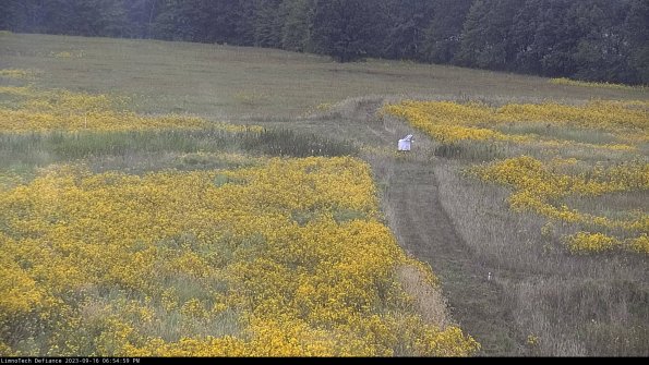 Cell 1 to 2_23-09-16_18-54-59-71